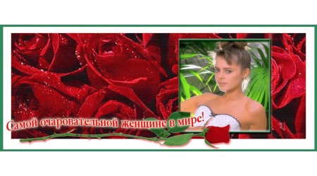 ch 240 +15.00 грн.